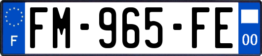 FM-965-FE