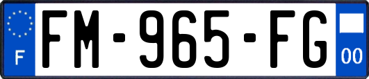 FM-965-FG