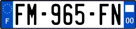 FM-965-FN