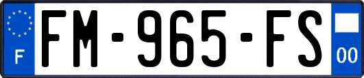 FM-965-FS