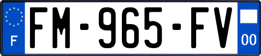 FM-965-FV