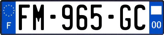 FM-965-GC