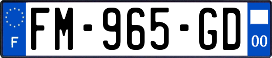 FM-965-GD
