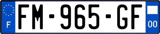 FM-965-GF