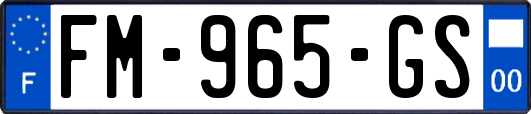 FM-965-GS