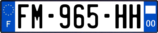 FM-965-HH