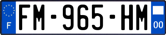 FM-965-HM