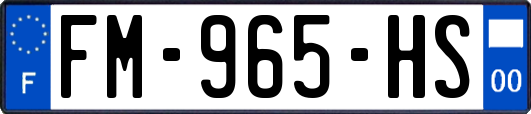 FM-965-HS