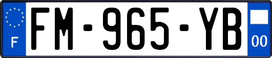 FM-965-YB