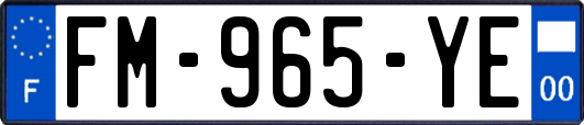 FM-965-YE