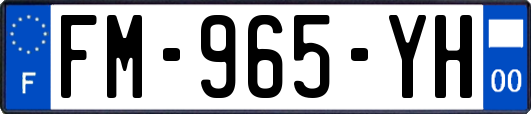 FM-965-YH
