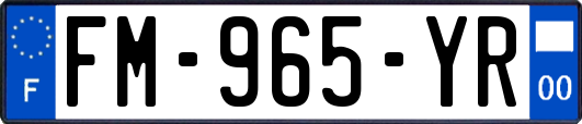 FM-965-YR