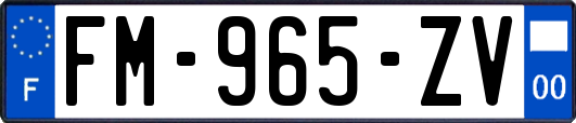 FM-965-ZV