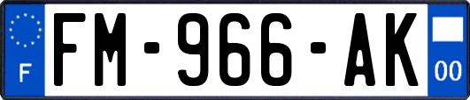 FM-966-AK