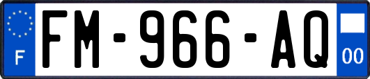 FM-966-AQ