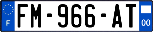FM-966-AT