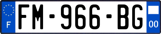FM-966-BG