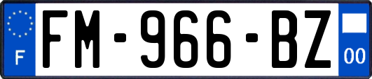 FM-966-BZ