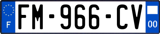 FM-966-CV