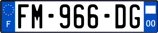 FM-966-DG