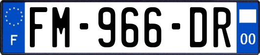 FM-966-DR