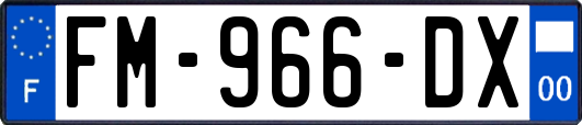FM-966-DX