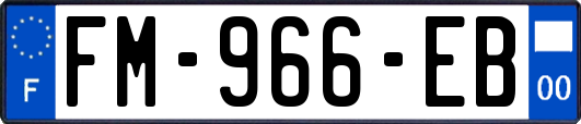 FM-966-EB