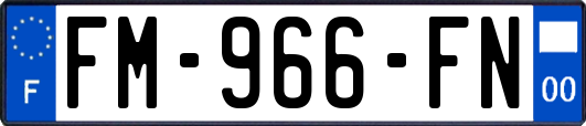 FM-966-FN