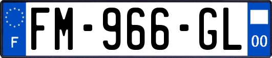 FM-966-GL