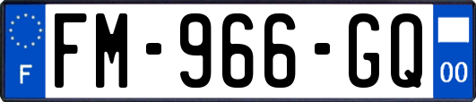 FM-966-GQ