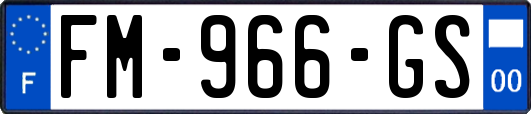 FM-966-GS