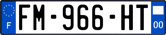 FM-966-HT