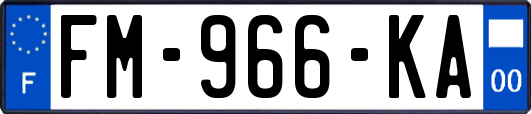 FM-966-KA