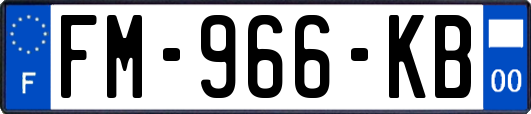 FM-966-KB