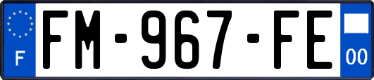 FM-967-FE
