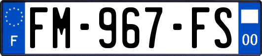 FM-967-FS