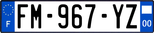 FM-967-YZ