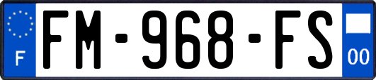 FM-968-FS