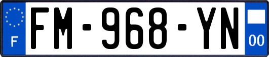 FM-968-YN