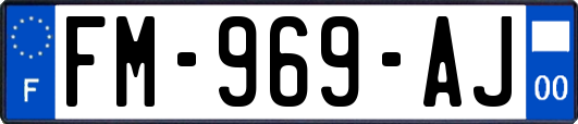 FM-969-AJ