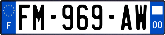 FM-969-AW