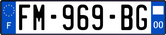 FM-969-BG