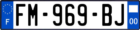 FM-969-BJ