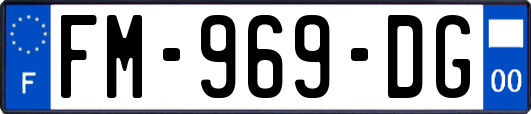 FM-969-DG