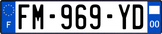 FM-969-YD