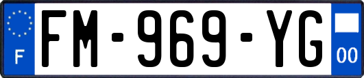 FM-969-YG
