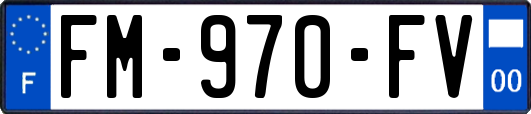 FM-970-FV