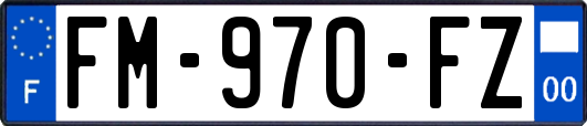 FM-970-FZ