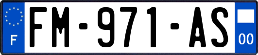 FM-971-AS