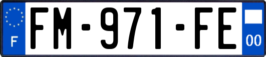 FM-971-FE